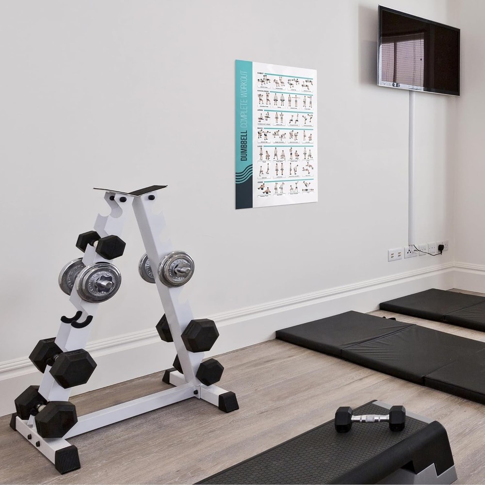 Dumbbell Workout Exercise Poster - Workout Routine with Free Weights (16.5 x 25)