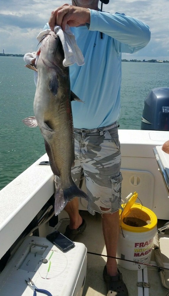 Captain Jimmy's Perch & Crappie Rigs