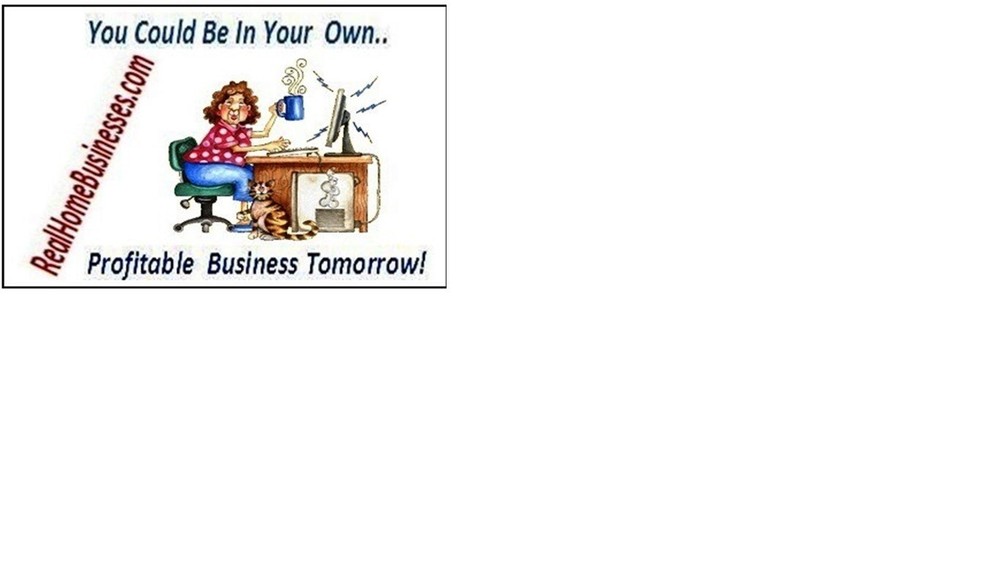 Small Business Accounting Program written in Excel