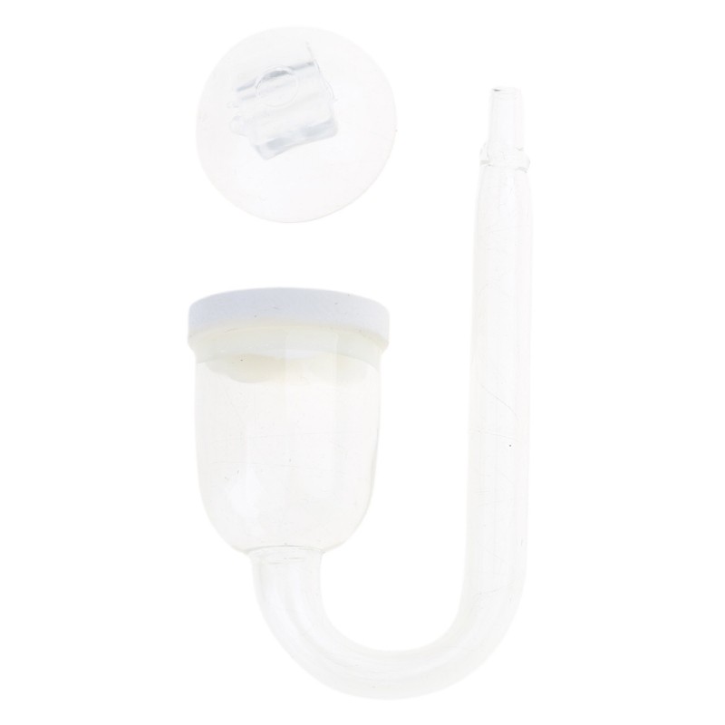 Glass for CO2 Diffuser Transparent Atomizer for Keeping Aquarium Plants Hea