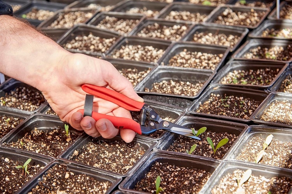 Precision Long Straight Snip Pruning Shears - Lightweight & Durable Design