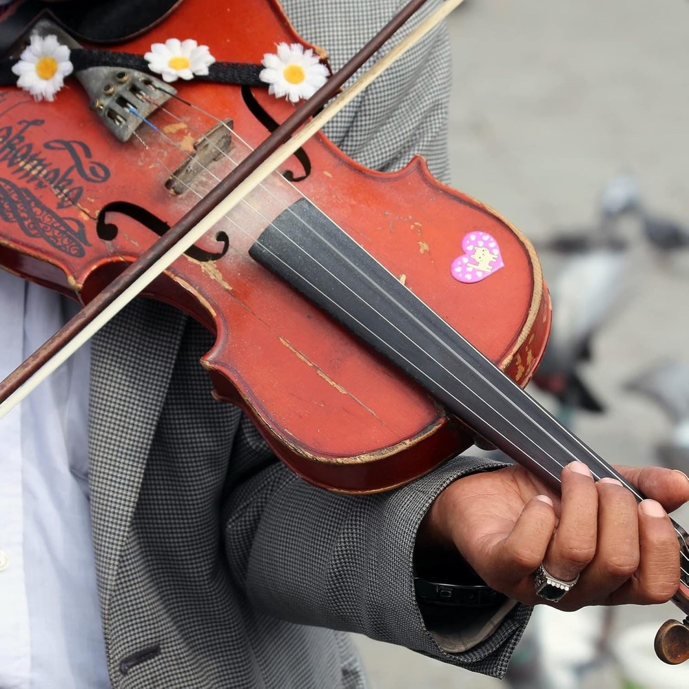 12PCS Violin String Pack – Durable Steel Core, Nickel Ball End