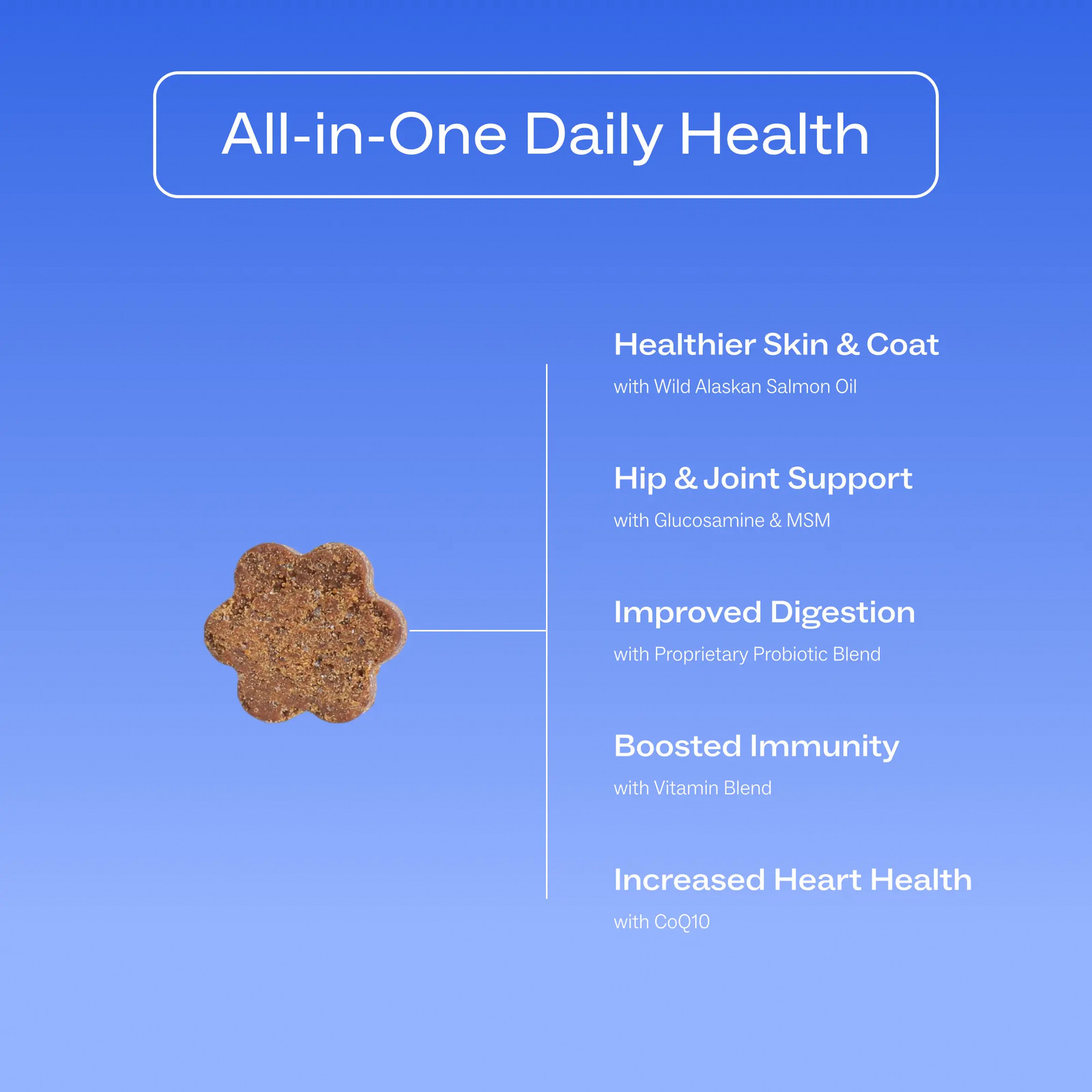 Daily Multivitamin for Dogs beef flavor Human-grade, Vet-formulated