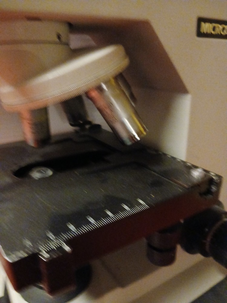 Reichert Microstar IV Series Model 410 Microscope