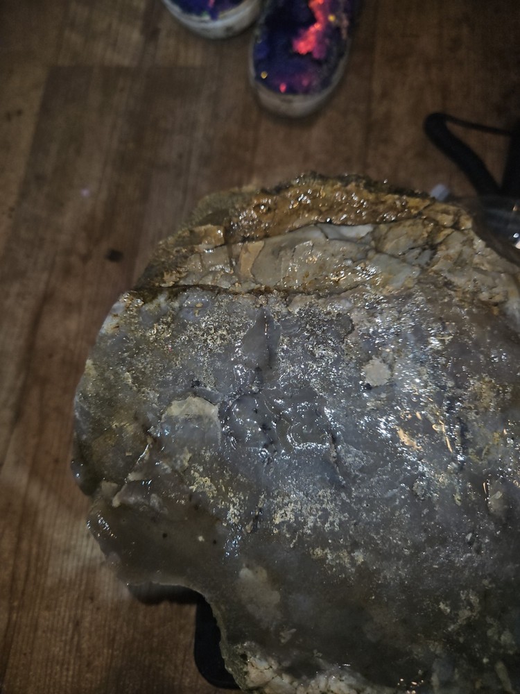 Petrified Palm Tree Root Specimen (36lbs 12oz)