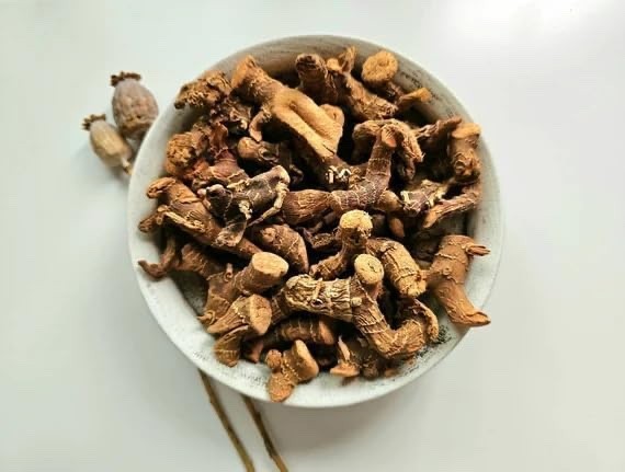 Low John Root | Southern/Dixie John Root | 2 Ounces