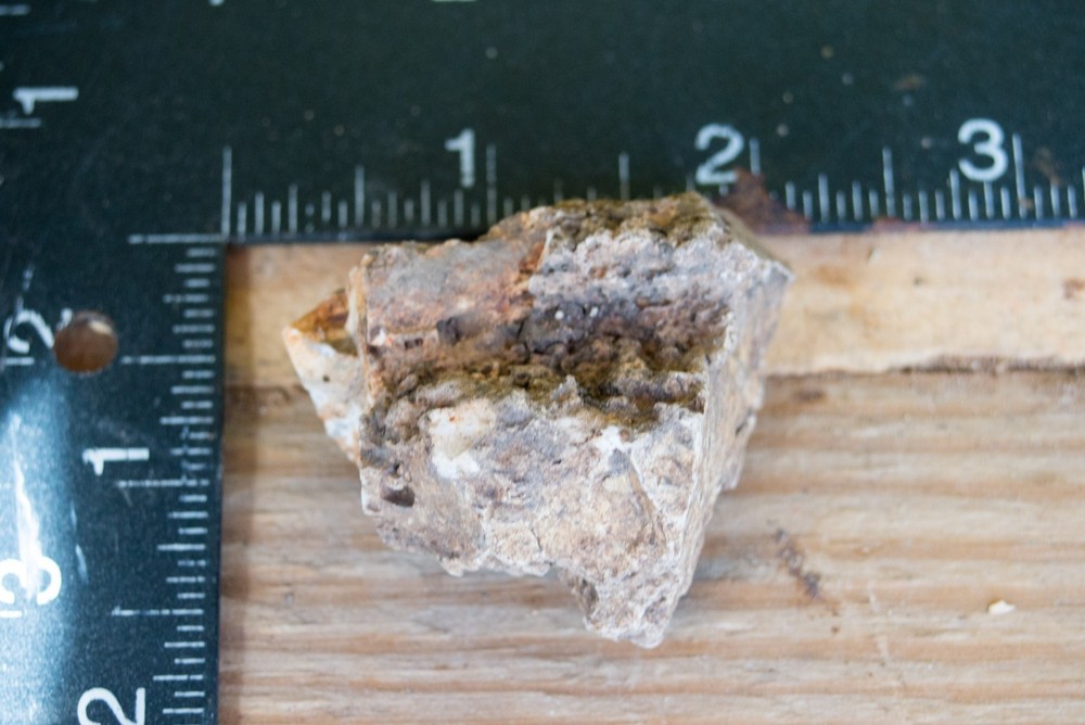 NE Oklahoma Fossil