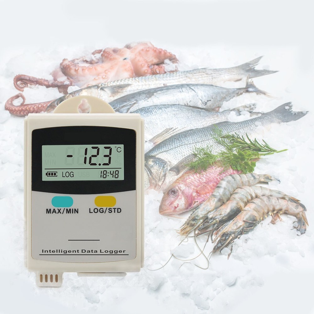Wall Mounted Temperature & Humidity Data Logger 43000 Records Accuracy ±3%RH