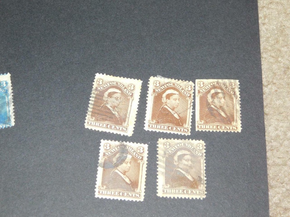 NEWFOUNDLAND, SCOTT# 51 USED (5)