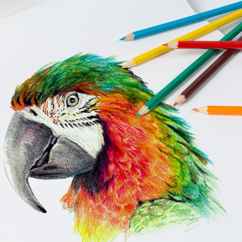 A3 Drawing Pad - White & Coloured Paper - Available as 2 Pack or 4 Pack - 60gsm