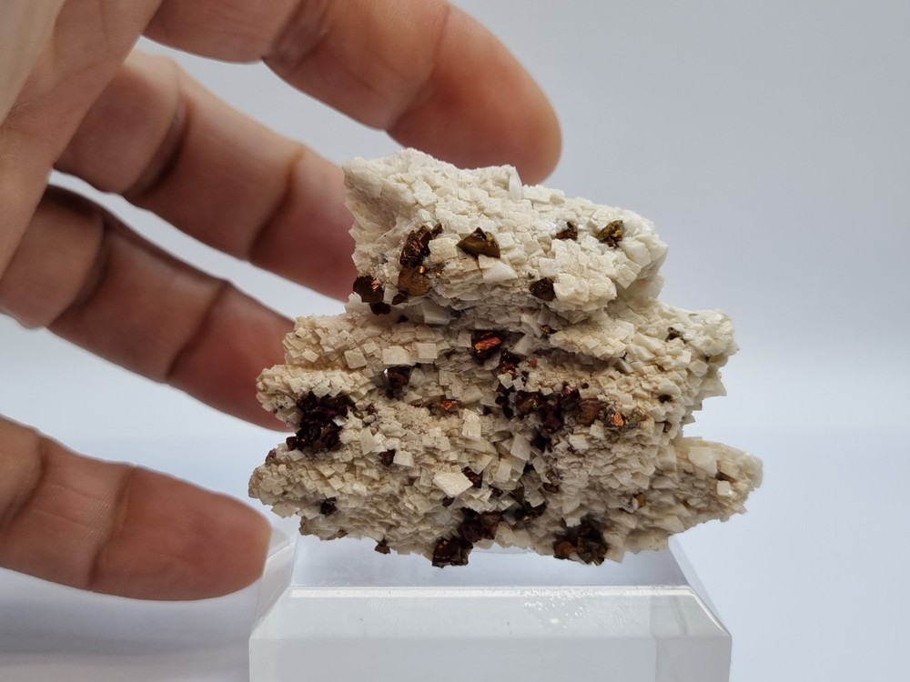 Minerals◇Calcipyrite with Siderite origin Breislar Germany