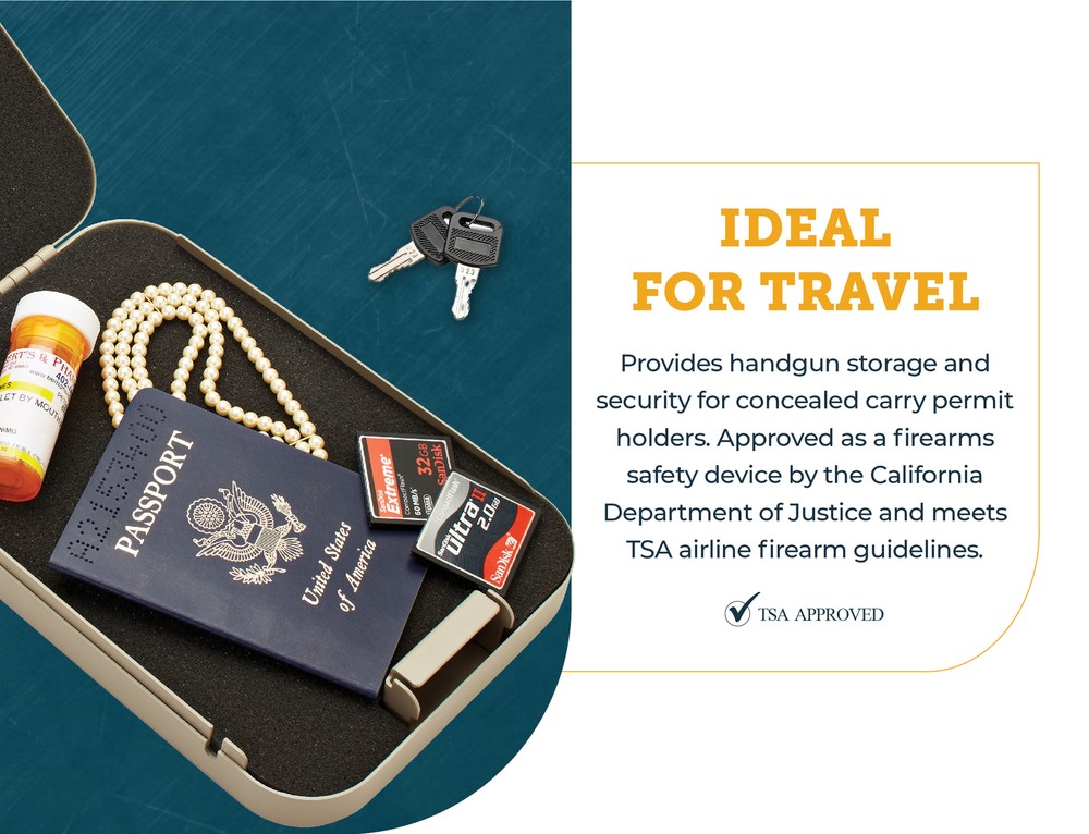 SnapSafe Portable Lock Box, Include 2 Keys, Security Cable- 9.5"x 6.5"x 1.75""