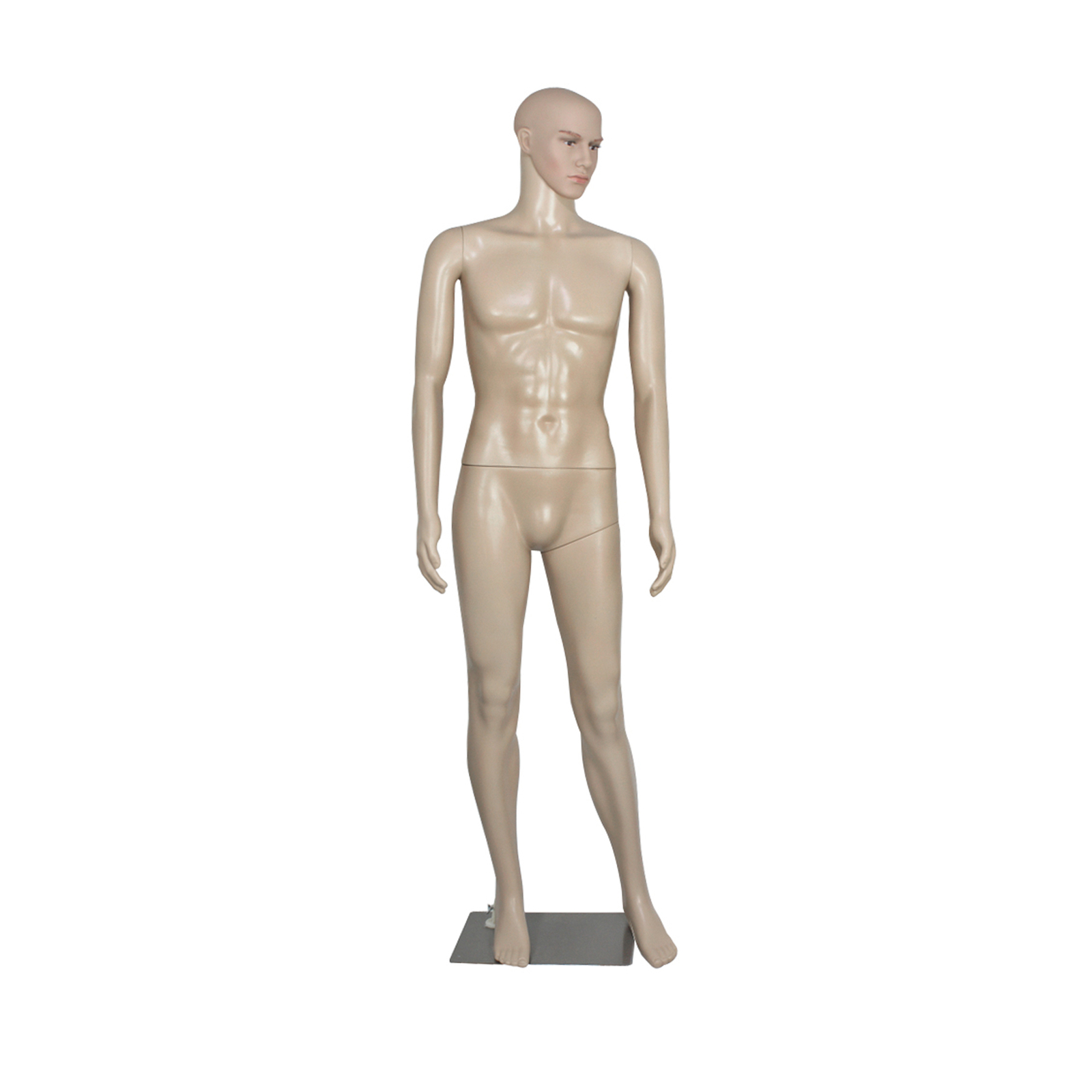 72"H Male Mannequin Full Body PP Realistic Display Head Turns Dress Form w/Base