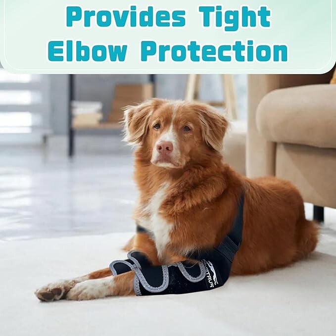 Dog Elbow Protector for Pets Elbow Dysplasia, Shoulder Dislocation - LARGE