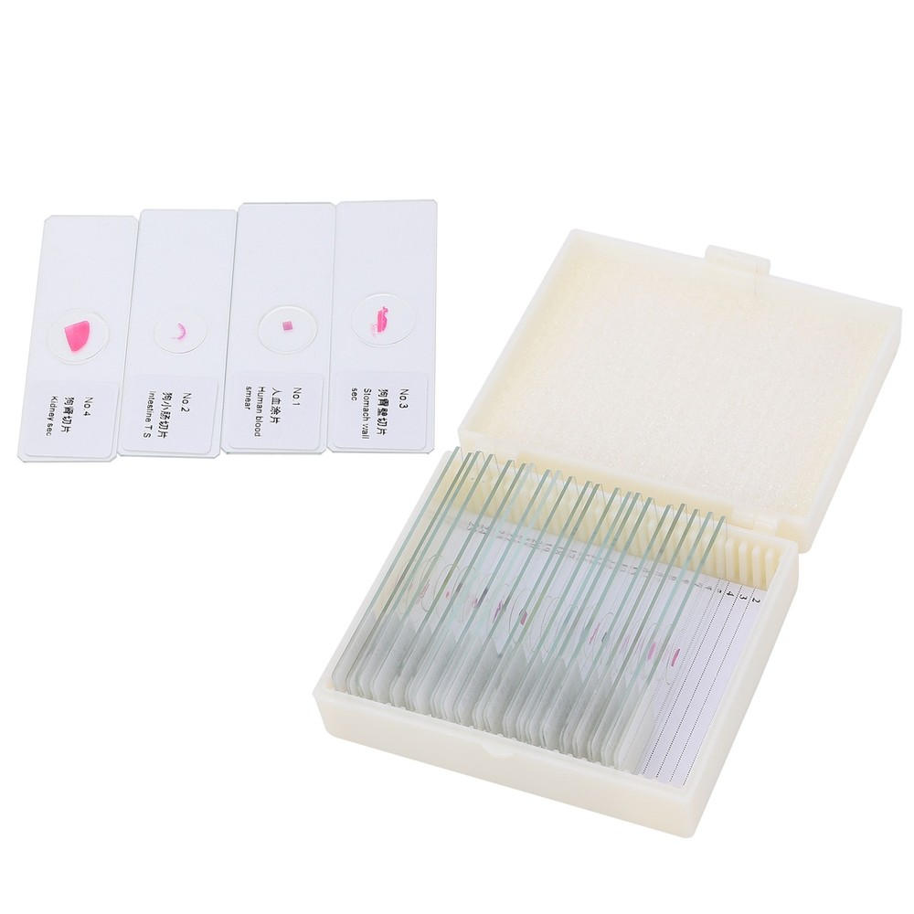 DW-25 25Pcs Animal Slide Set For Microscope Study Science Education