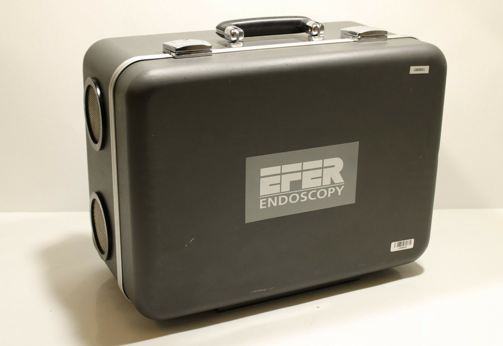 Efer Endoscopy Orion 800