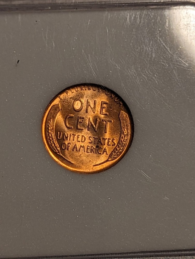 1956-D Wheat Cent Penny MS++++++++Uncirculated BU!!!!!