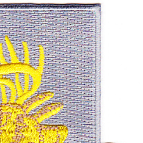 395th Infantry Regiment Patch