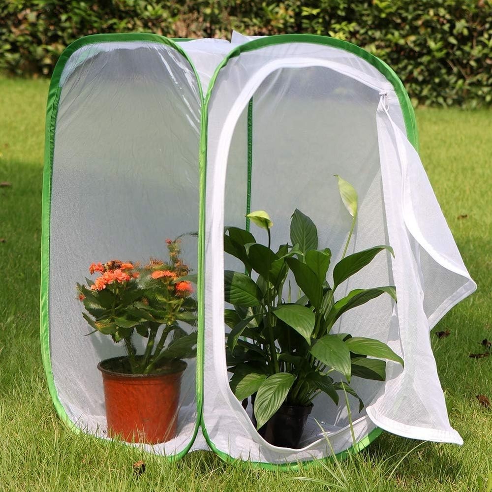 Collapsible Butterfly Enclosure with Easy Clean Polyester Bottom – 15.7”