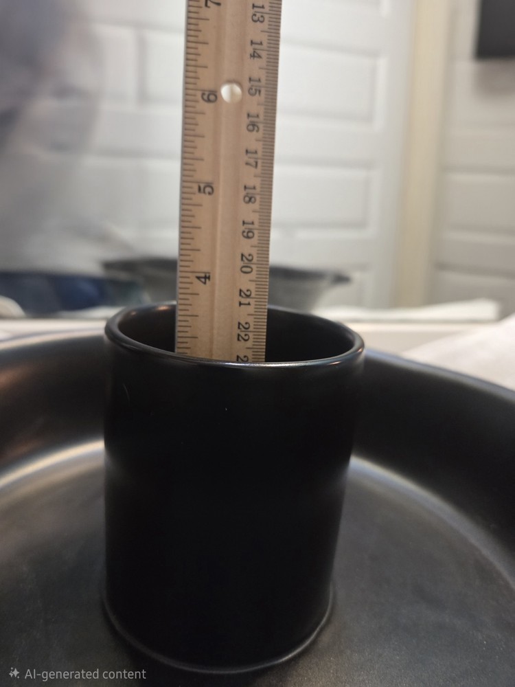 Technique Flame Stonewware Vertical Chicken Roaster Black Unboxed Never Used