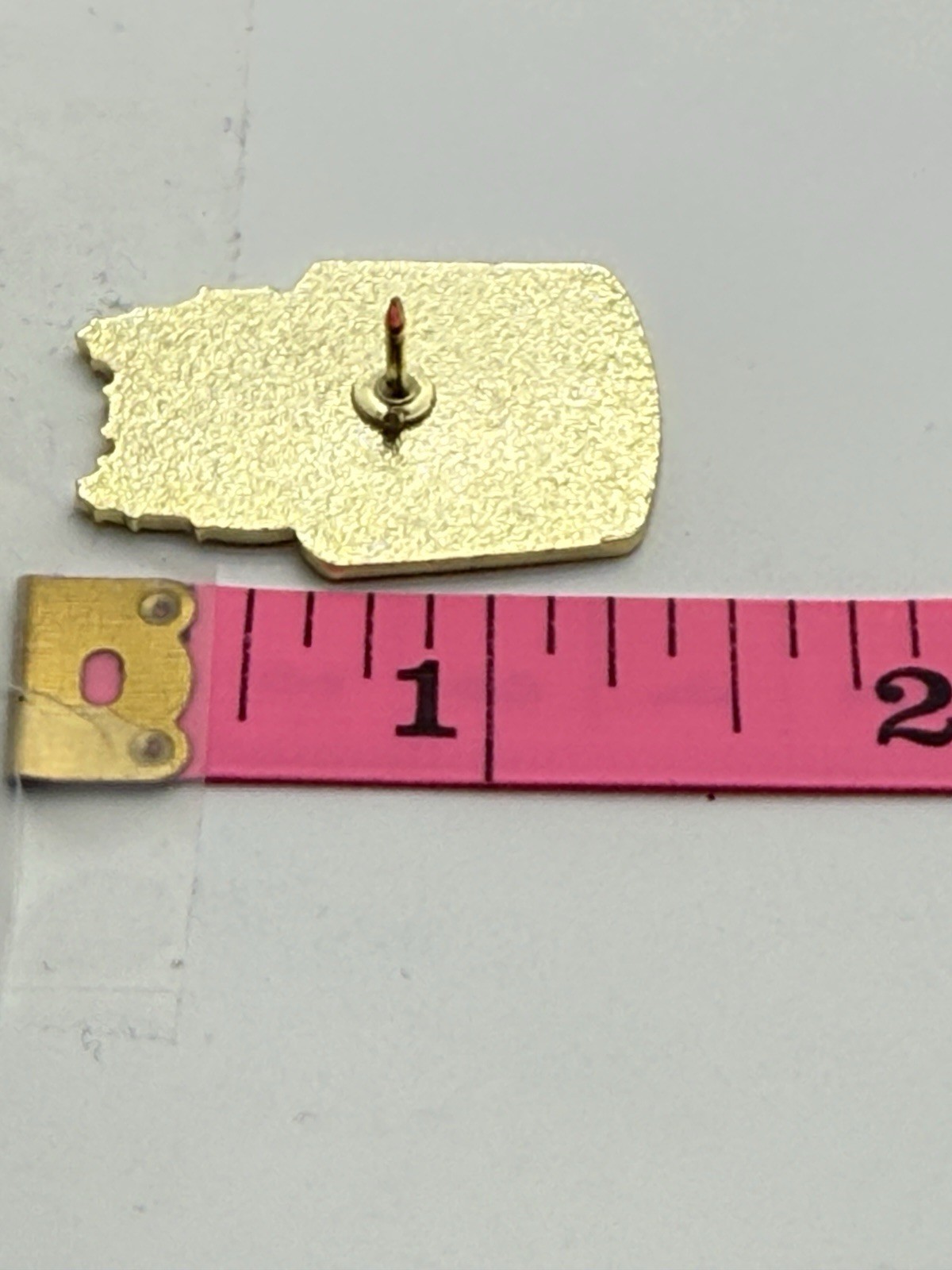 Cactus Cat Hard Enamel Lapel Pin