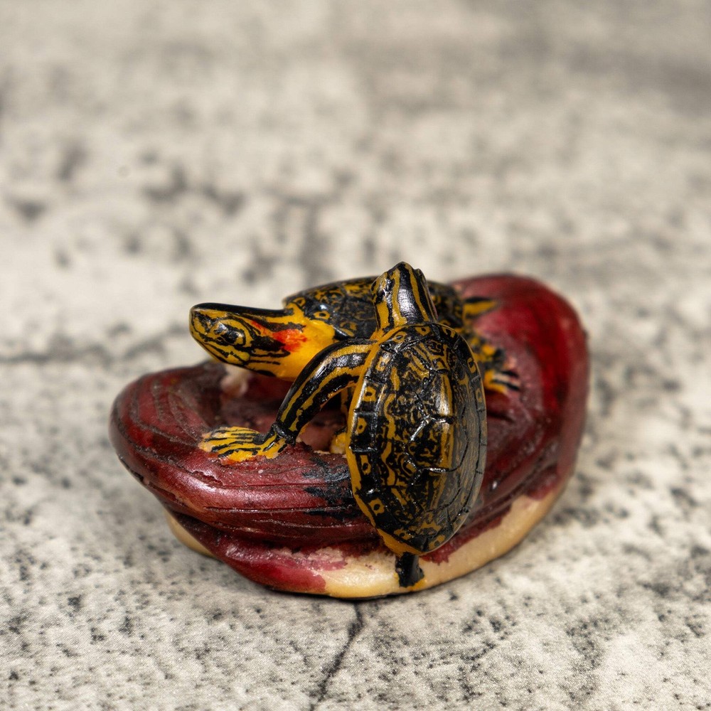 Double Turtle Tortoise Tagua Carving