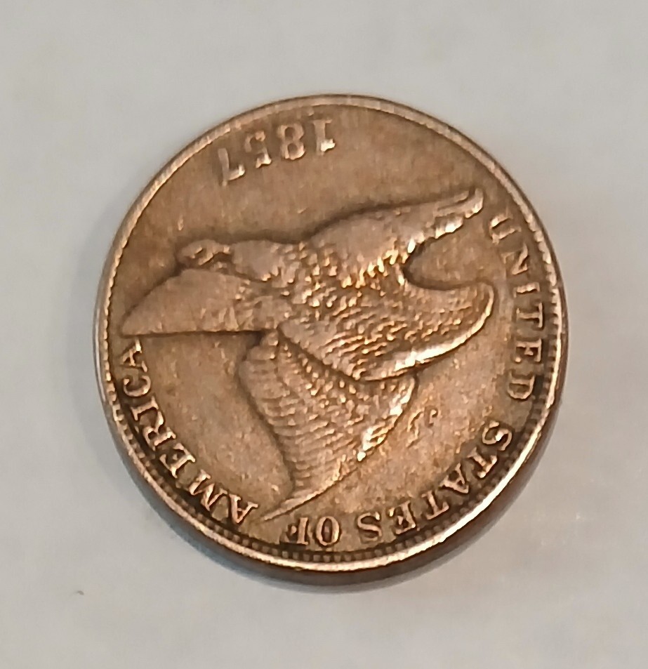 1857 FLYING EAGLE CENT (EXTRA FINE PLUS DETAILS) (YOU GRADE)