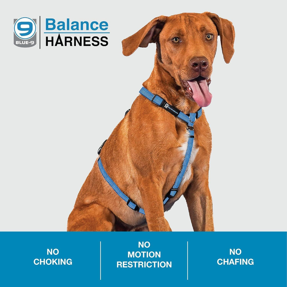 Customizable No-Pull Dog Harness with Reflective Stitching - Blue, Medium/Large