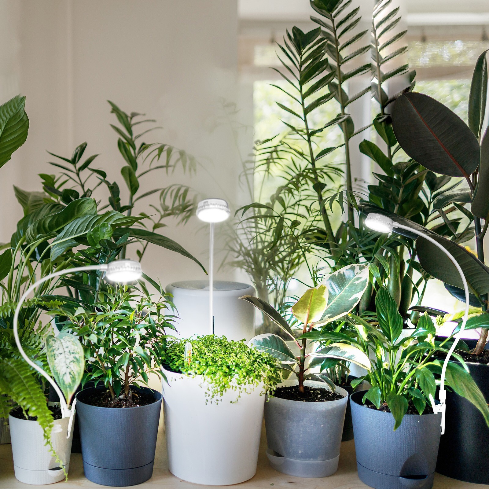 SANSI LED Grow Light Plant Growing Lamp Full Spectrum Indoor Plants with Timer