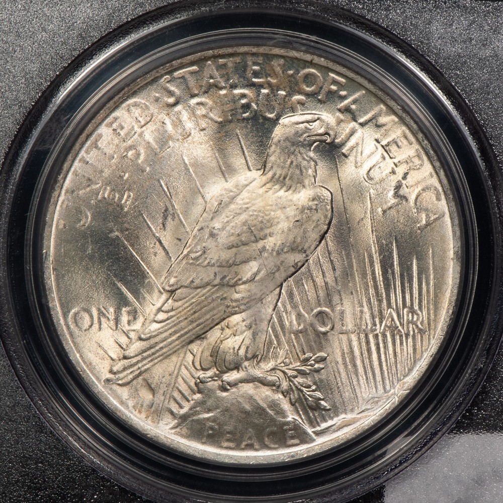 1923 $1 Silver Peace Dollar - Mint Error - PCGS MS 64 - SKU-X4430