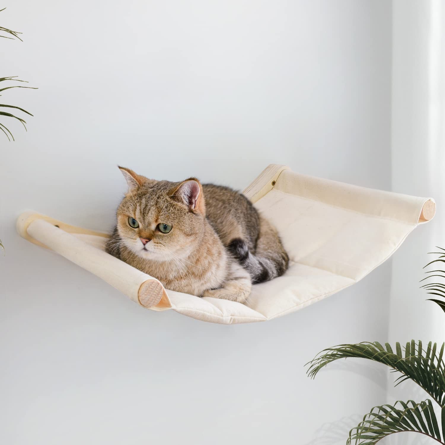 Cat Hammock Wall-Mounted Cat Bed Cat Climbing Wall Cat Furniture for Indoor Cats