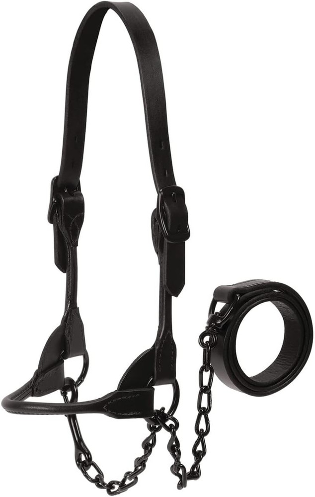 Livestock Black Magic Show Halter, Medium