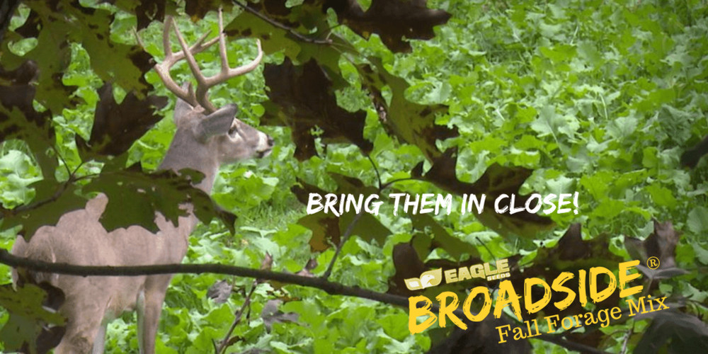 Eagle Seed Broadside Fall Blend for Deer Food Plots