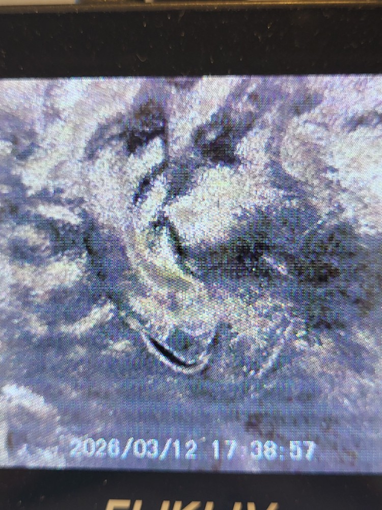 2023 D Lincoln Shield Cent, , which has a ( DDO/ DDR/EAR/TEAR ERROR