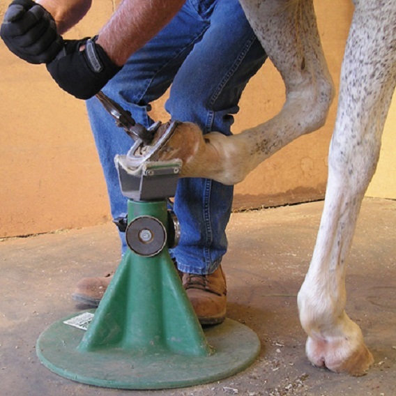 Purple Combo Draft & Horse Hoofjack Hoof Jack Free Shipping lower 48