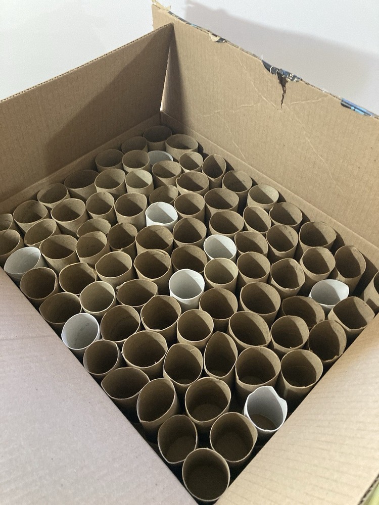 Toilet Paper Rolls Tubes Clean Empty Assorted 80 Crafts Projects Great Project!!