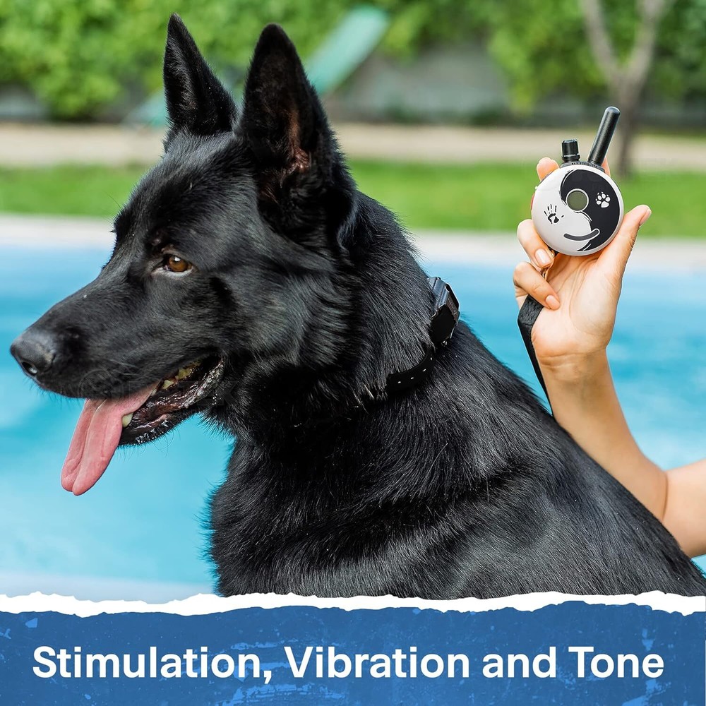 Black & White Zen Educator E-Collar - Rechargeable Remote + Training Clicker