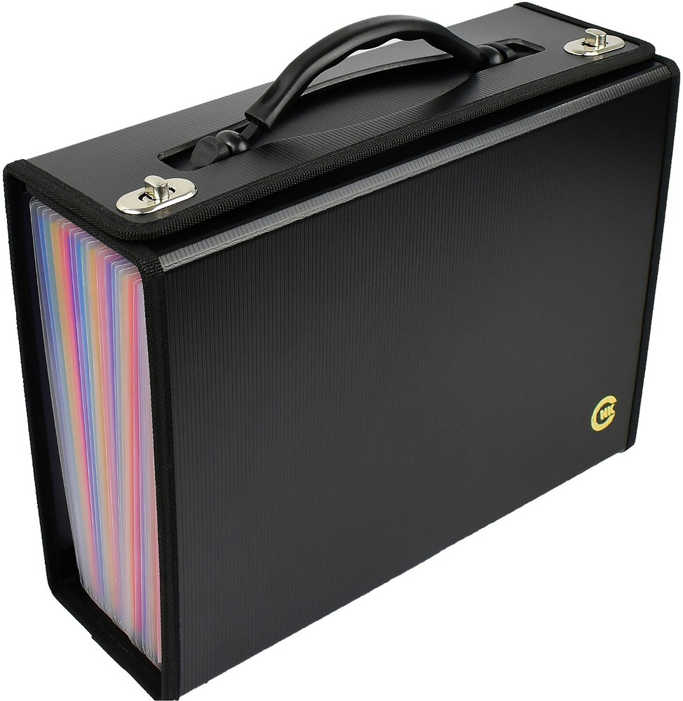 Accordian file folder organizer Expanding File folder Document holder file box