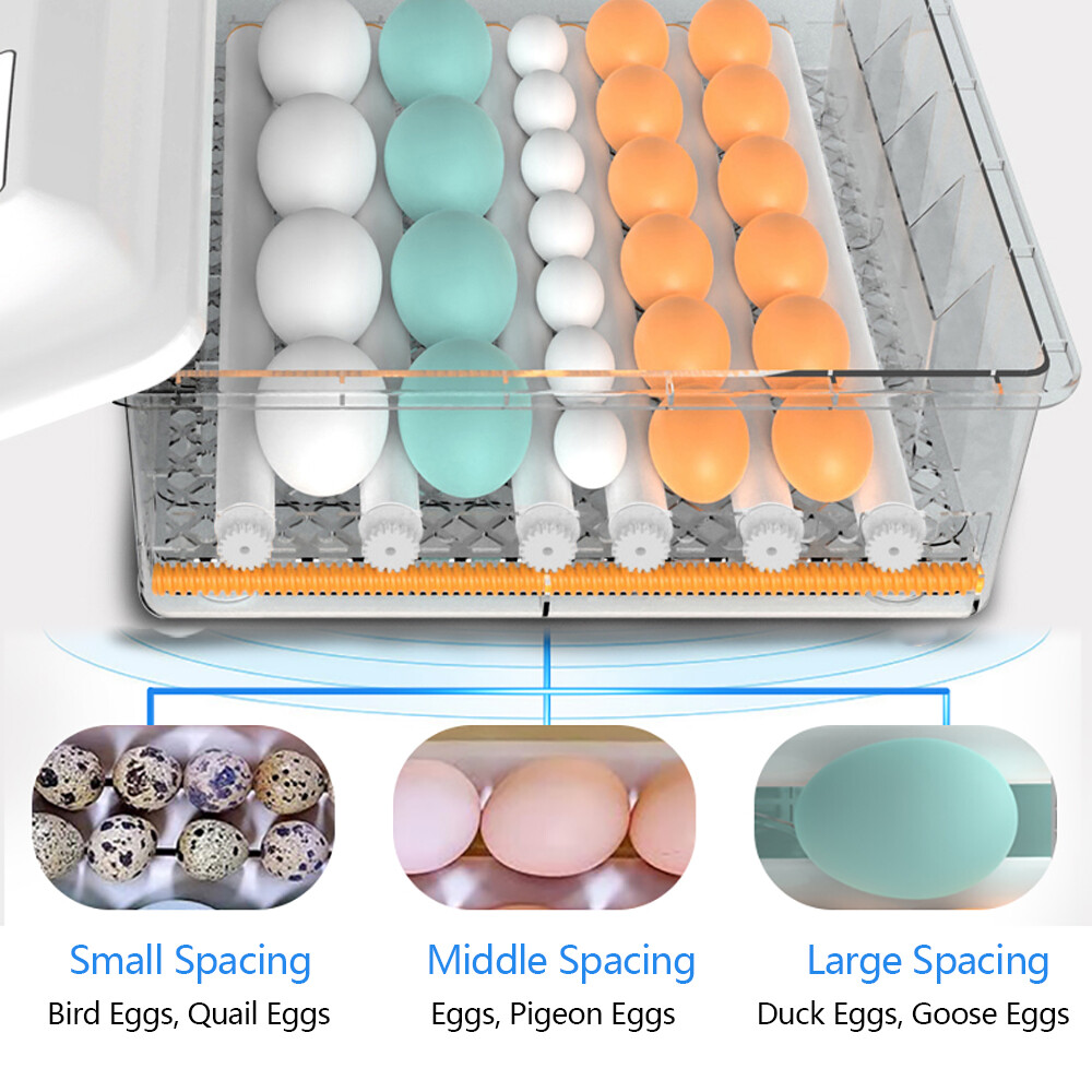64-Egg Digital Incubator with Temperature Control & Automatic Turner