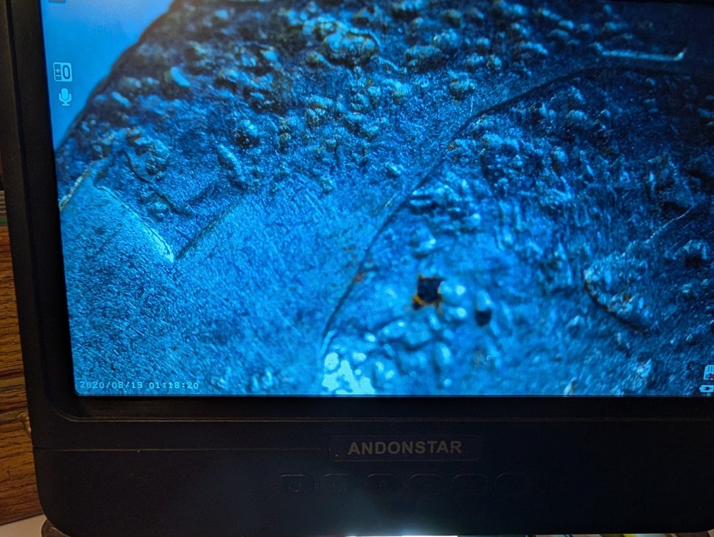 Major Machine Error On A 1974 Quarter