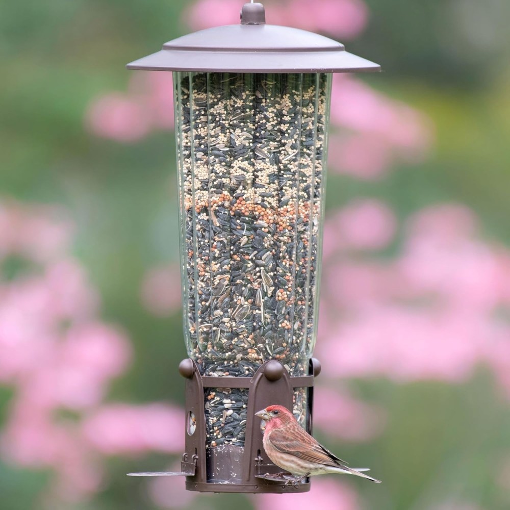 Shake-Resistant Bird Feeder with Weight-Activated Perches