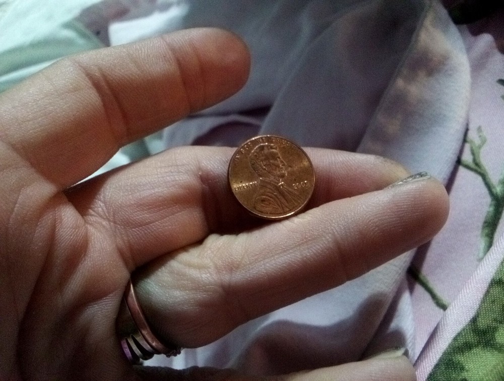 2009 Penny