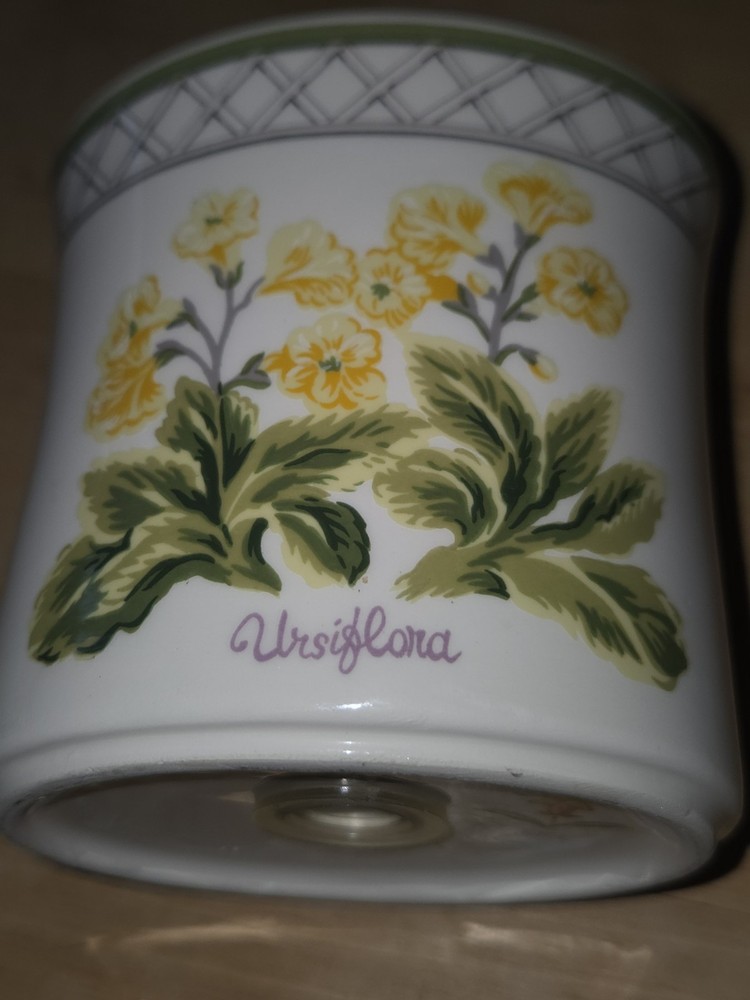 Botanic Garden Earthenware Toothbrush Holder