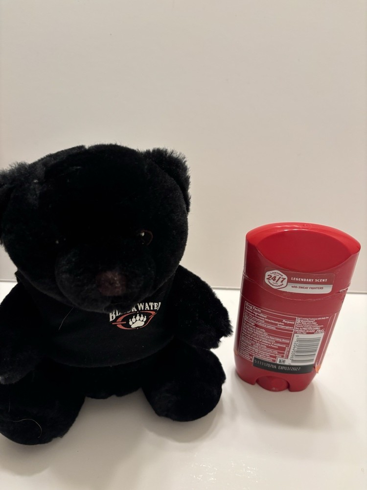 Blackwater Plush Teddy Bear Rare HTF