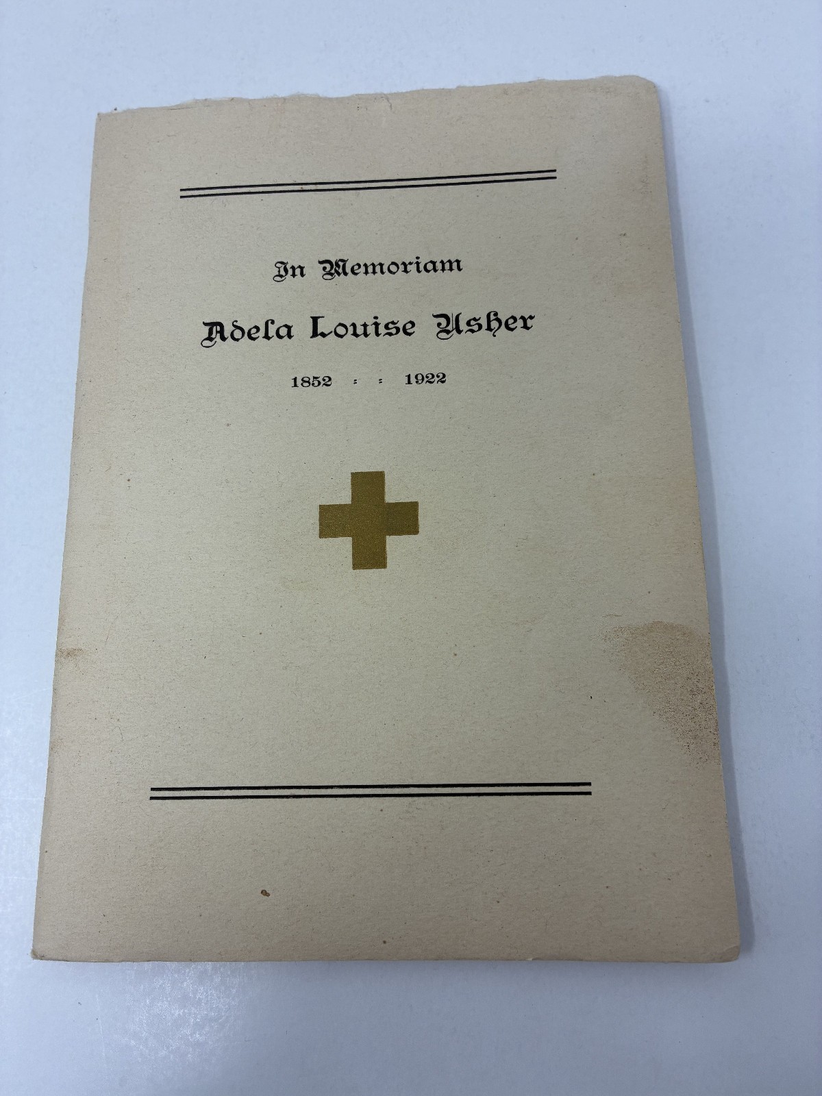 1900 Victorian Woman Wife & Mother Handwritten Diary with Her Life Memorial!
