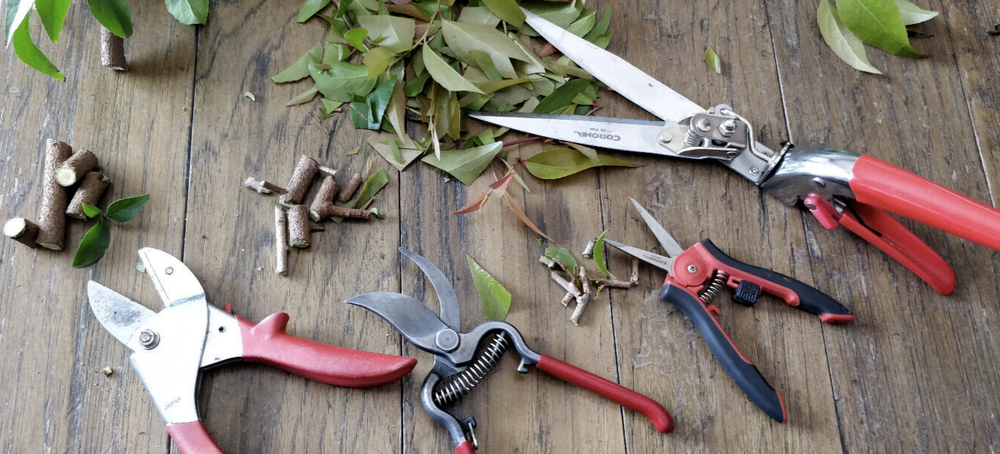 4 CORONA Garden Tools pruning shears pruner Hedge clipper ReConditioned
