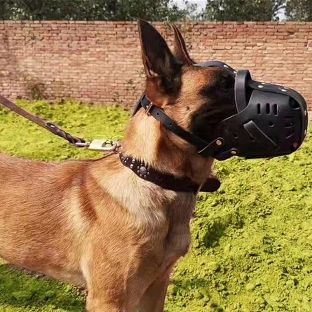 Adjustable Leather Dog Muzzle for Bite Prevention Training Chew Proof Design