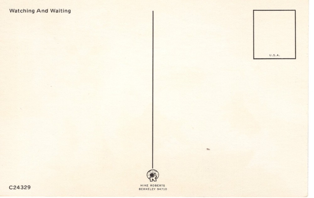 WATCHING & WAITING - PC5462