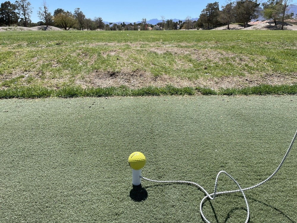 Big Dog Range Tee - hit Driver from any Range Mat