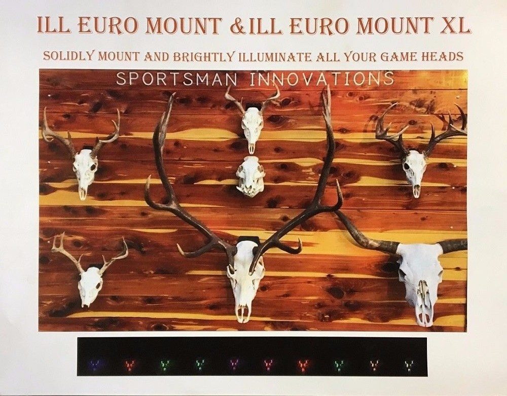 Rack Attach European Mount Plaque Kit, skull mount, wall hanger hook